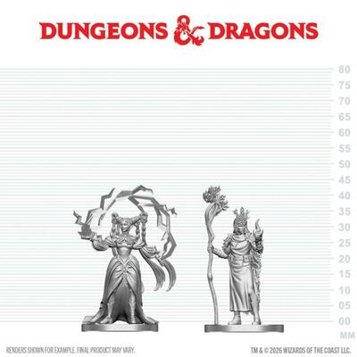 D&D Nolzur's Mini: Human Druid & Elf Sorcerer