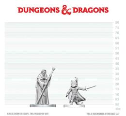 D&D Nolzur's Mini: Cultist of Bhaal & Cultist of Myrkul