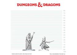 D&D Nolzur's Mini: Cultist of Bhaal & Cultist of Myrkul