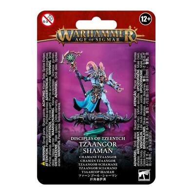 Tzeentch Arcanites Tzaangor Shaman