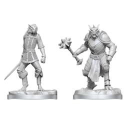 D&D Nolzur's Mini: Dragonborn Paladin & Dragonborn Squire