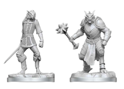 D&D Nolzur's Mini: Dragonborn Paladin & Dragonborn Squire