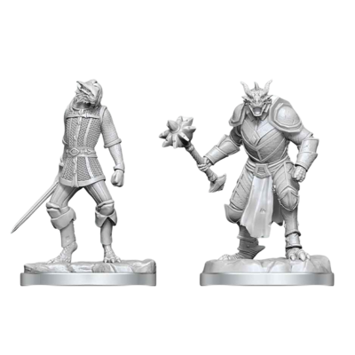 D&D Nolzur's Mini: Dragonborn Paladin & Dragonborn Squire