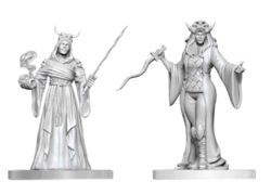 D&D Nolzur's Mini: Cultist Fanatic & Hierophant
