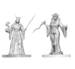 D&D Nolzur's Mini: Cultist Fanatic & Hierophant
