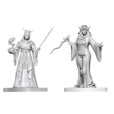 D&D Nolzur's Mini: Cultist Fanatic & Hierophant